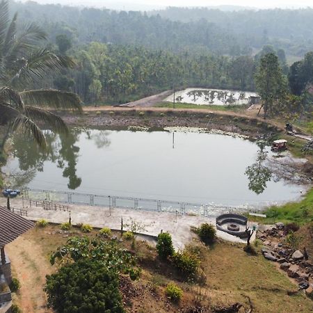 Willostays Villa Tranquil De Susanj Sakleshpur Eksteriør billede