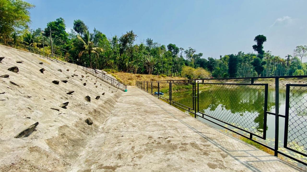 Willostays Villa Tranquil De Susanj Sakleshpur Eksteriør billede